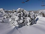 Аустралијски Алпи