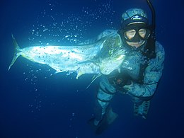 Pêche sous-marine — Wikipédia