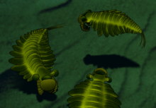 Life reconstruction of S. hirpex on seafloor Stanleycaris.png