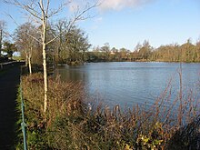 Stephenstown Pond, Knockbridge, Grafschaft Louth - geograph.org.uk - 1065191.jpg