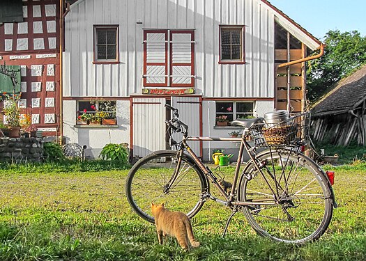 A bicycle on a Swiss apple farm. The back of the bicycle has a metal container for milk which will be filled at a nearby dairy farm. Cats wait for the bicycle to return with fresh milk.