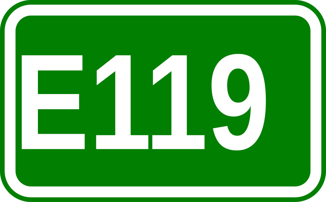 E119