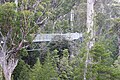 View of the Tahune Forest AirWalk gantry winding through the trees.