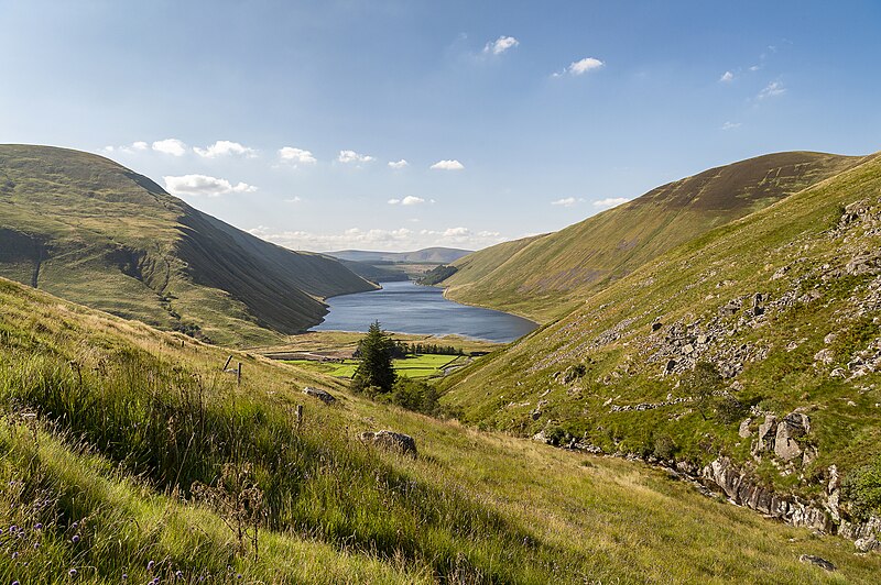 File:Talla Reservoir (43673431304).jpg