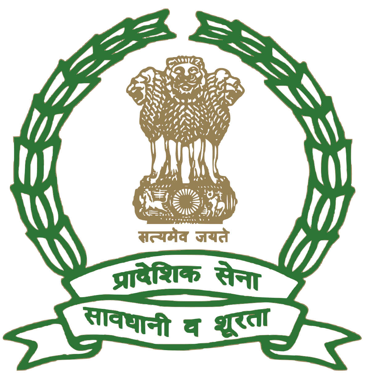 Territorial Army (India) - Wikipedia