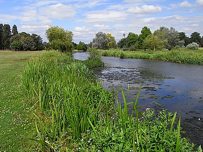 River Loddon