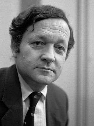 <span class="mw-page-title-main">Theo van Boven</span> Dutch jurist and professor emeritus