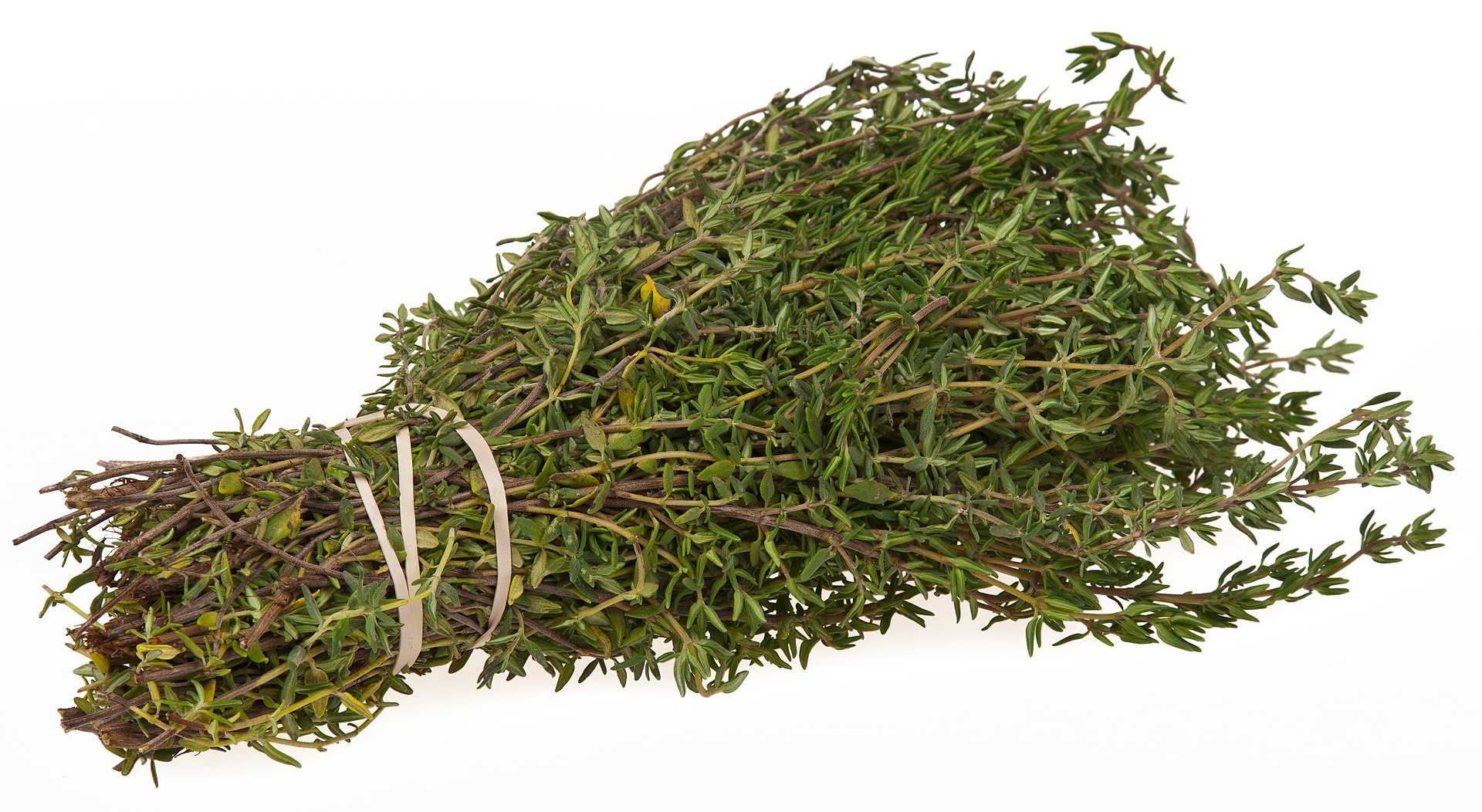 1920px-Thyme-Bundle.jpg