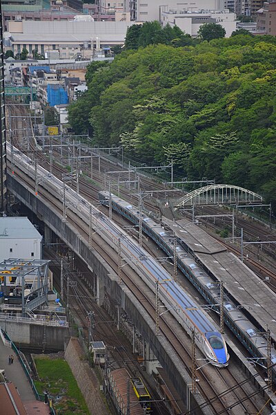 File:Tohoku Shinkansen and Tohoku Main Line viewed from Hoku Topia 2019-05-04 Oji Station (48576556687).jpg