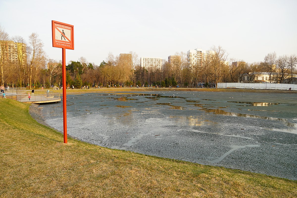 Торфянка королев. Озеро Торфянка Королев. Озеро Торфянка Лосиный остров. Парк Торфянка Москва. Пруд Торфянка Пушкино.