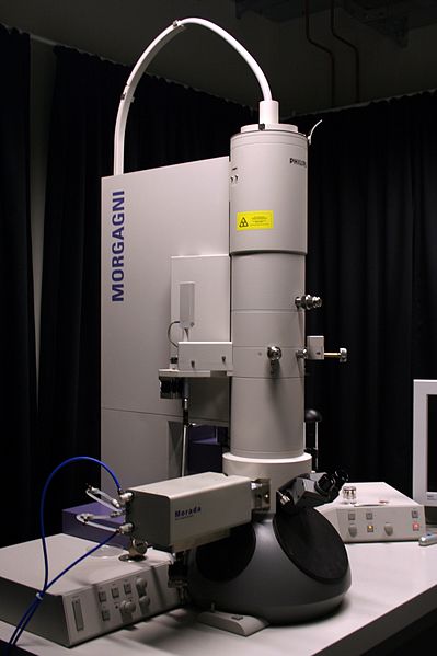File:Transmission electron microscope (Morgagni 268D) pl.jpg