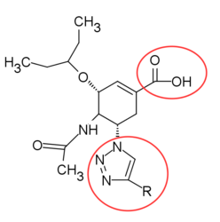 Trizole המכיל carbocycles analog.png