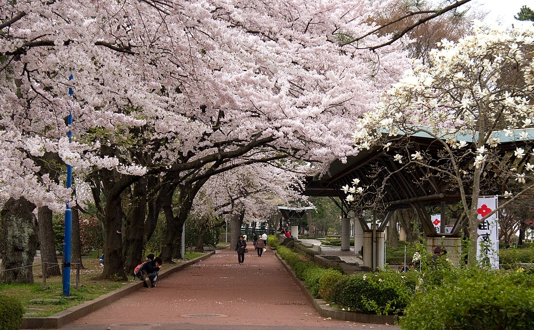 宮城野區