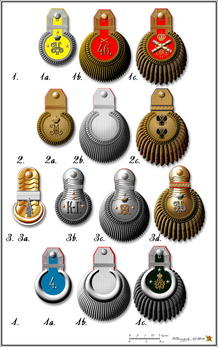 Tipos de dragonas das forças armadas do Império Russo (classificação não anterior a 1855; exemplos a partir de 1904, depois de 1908 para a cavalaria). (definição 2 530 × 4 030)