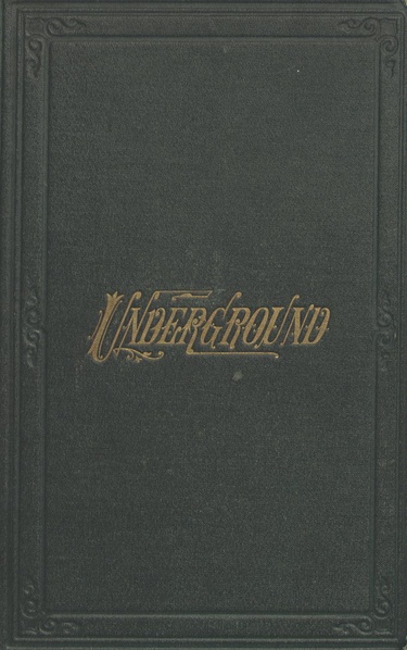 File:Underground, or Life below the surface - Thomas Wallace Knox (1873).pdf