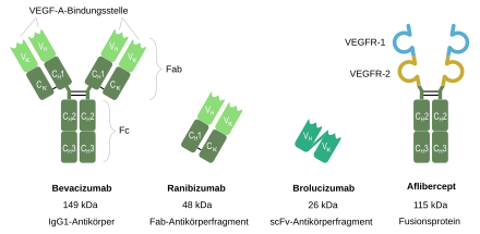 Vascular Endothelial Growth Factor: VEGF-A, Funktion, Medizinische Bedeutung