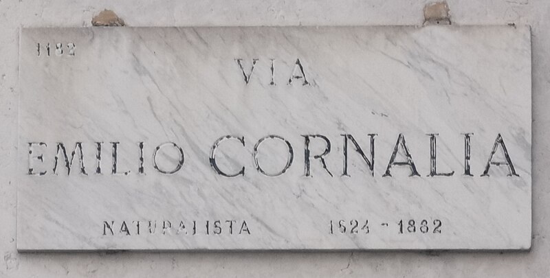 File:Via Emilio Cornalia in Milan.jpg