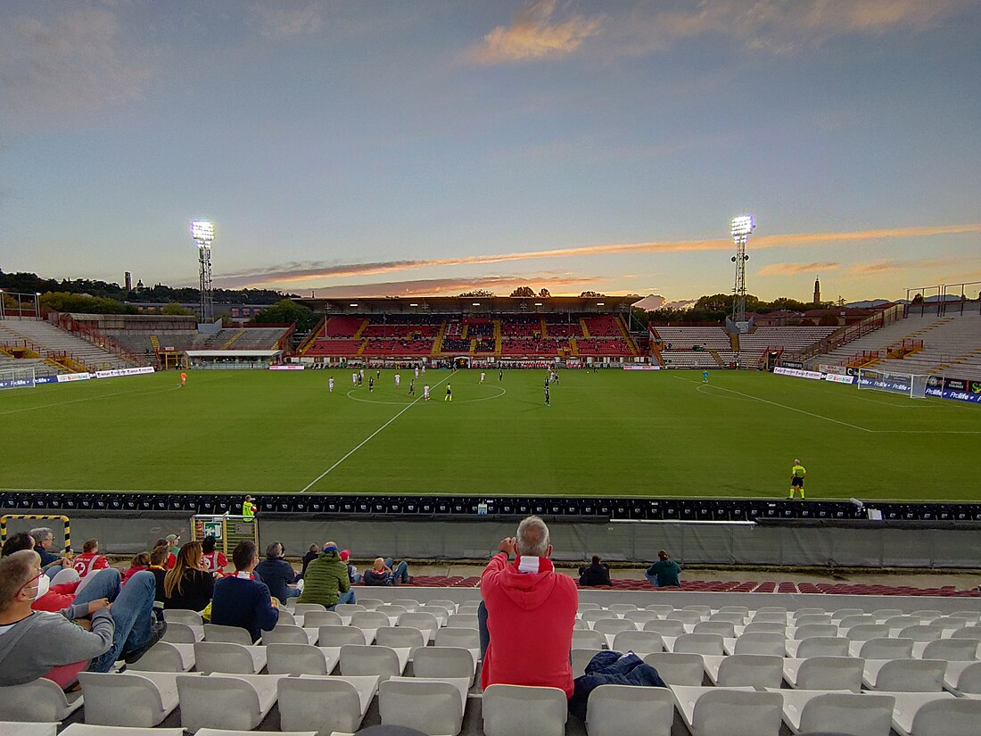 Stadio Romeo Menti