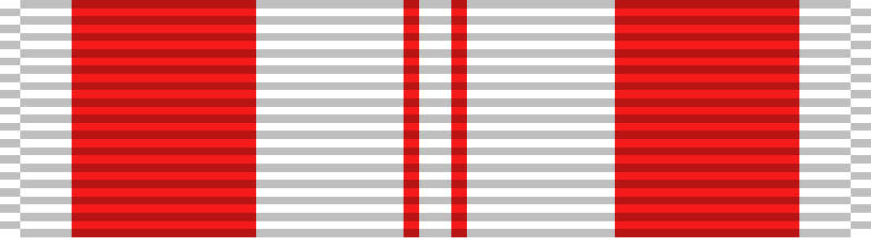 File:Vietnam Training Service Medal ribbon-First Class.svg