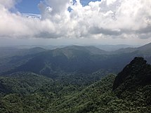 View of El Yunque National Forest in Puerto Rico View direction Dos Picachos from El Pico in El Yunque National Forest.JPG