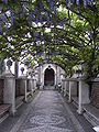 Pergola de la Villa d'Este à Tivoli (Italie)