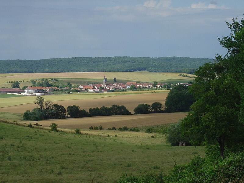 File:Vue du village athienville.JPG