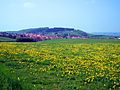 Vorschaubild für Austberg