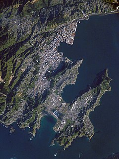 <span class="mw-page-title-main">Wellington City Council</span> Territorial authority in the Wellington urban area of New Zealand