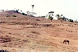 Landschap bij Tjamplong, district Fatuleu, tijdens de droge moesson.