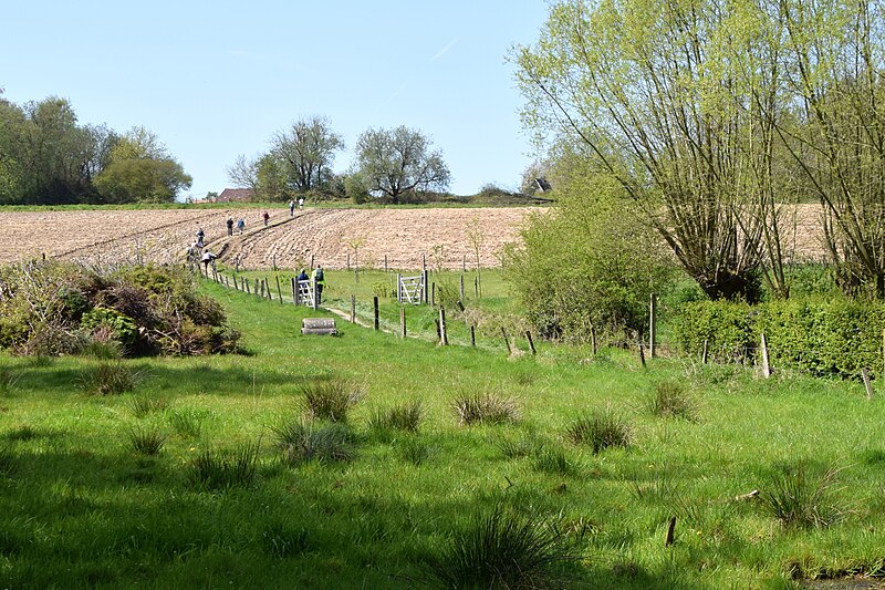 File:Willemskouter, Dworp - Beersel - panoramio.jpg