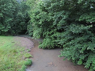 Witcher Creek river in the United States of America