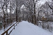 zugeschneiter Fußweg parallel zur Straße Am Graben München