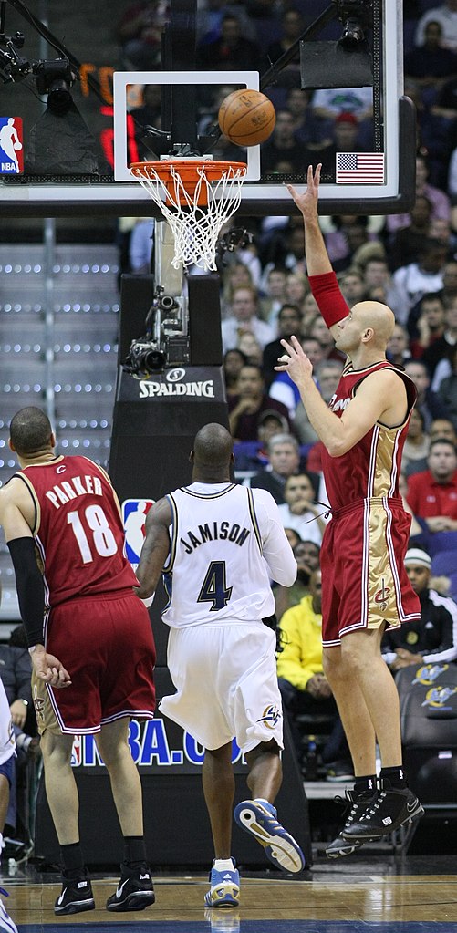 zydrunas ilgauskas dunk