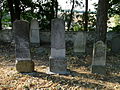 Čeština: Náhrobky na židovském hřbitově v obci Puklice, okres Jihlava. English: Gravestones in the Jewish cemetery in Puklice, Jihlava District, Vysočina Region, Czech Republic. This is a photo of a cultural monument of the Czech Republic, number: 27595/7-5155. Památkový katalog  · MIS  · hledat obrázky  · hledat seznamy  · Wikidata