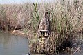 Веселовское водохранилище. Искусственное гнездовье для утки кряквы.jpg