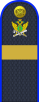 05.погон ФССП - старший сержант.png