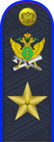 19.погон ФССП - генерал.png