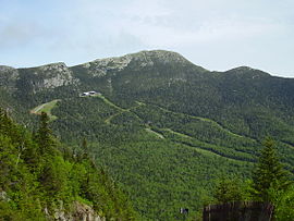 მანსფილდი