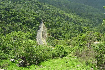 Thamarassery Hill Road