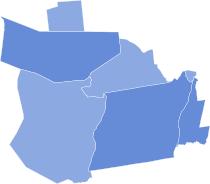 2008 United States House of Representatives Election in New York's 21st Congressional District.svg