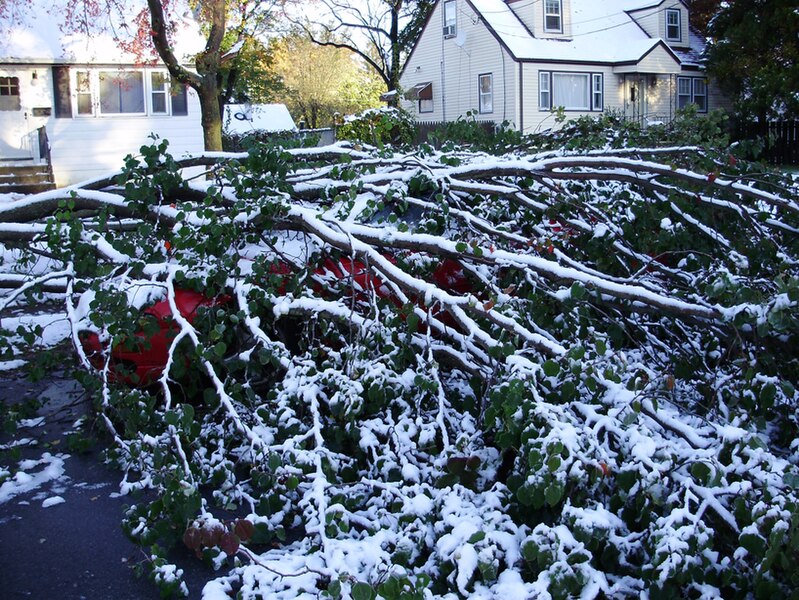 File:2011-10-30 08 15 00 10 A car under the broken branches of a Callery Pear along Stratford Avenue after 3.2 inches of snow fell the previous day during the 2011 Halloween nor'easter in Ewing Township, Mercer County, New Jersey.jpg
