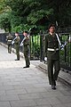 アイルランド国防軍の正装、アイルランドの象徴として緑色を基調にしている。