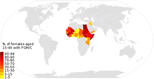 This map shows the % of women and girls aged 15–49 years who have undergone FGM/C. Source: UNICEF (2013). Grey countries were not surveyed.
