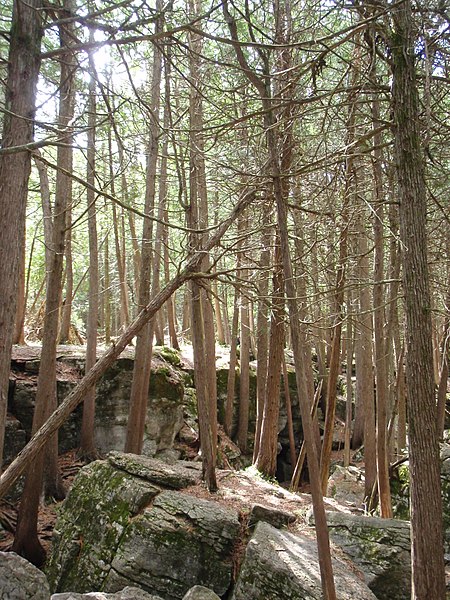 File:43 Warsaw Caves Conservation Area.jpg