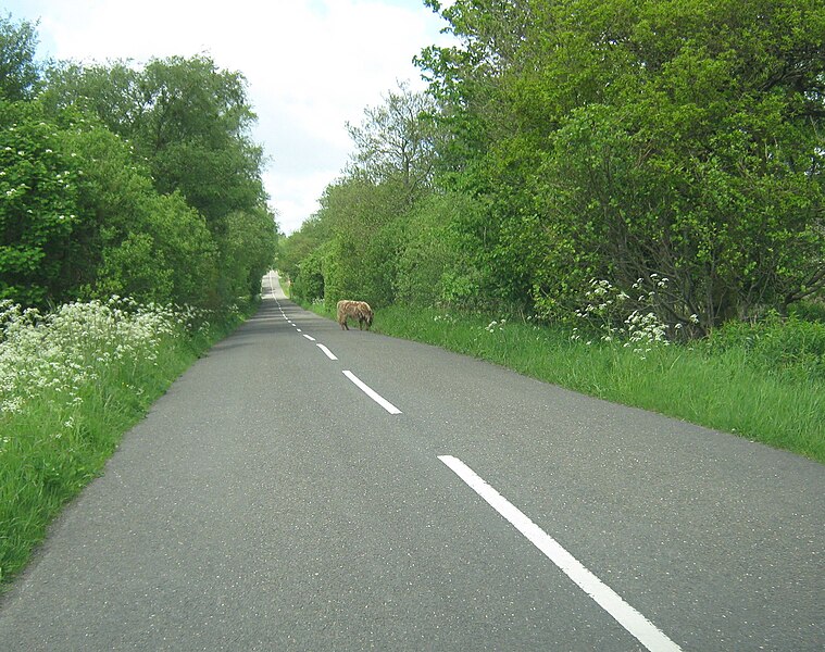 File:A long, straight stretch on the B793 - geograph.org.uk - 2446181.jpg