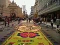 Image 60Sawdust carpet in Holy Week. (from Culture of Honduras)