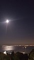 Algiers bay lightened by moon light.jpg