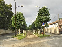 Allée réservée aux chevaux dans l'avenue Marie-Amélie au centre du quartier du Bois Saint-Denis.