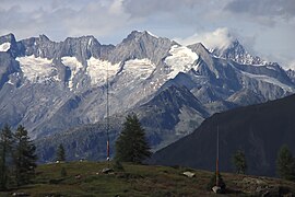 7MHz und 14MHz Vertical Dipoles