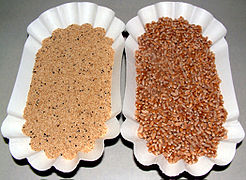 アマランサス（左）とパンコムギの小麦の実（英語版）